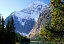 佛罗伦萨队主场作战，信心十足？