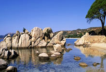 佛罗伦萨队主场作战，信心十足？