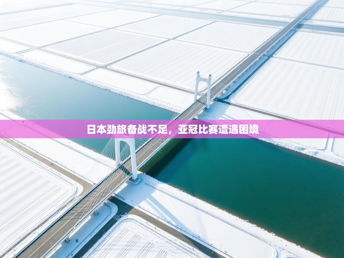 日本劲旅备战不足,亚冠比赛遭遇困境 第2张